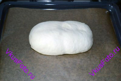 Придать тесту <a href=http://www.vkusfoto.ru/raznoe/formovanie_buhanki/158.html>овальную форму</a> и переложить на противень с пекарской бумагой.